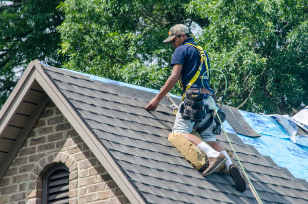 Best New Roof Installation  in Appleton, WI